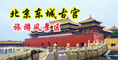 啊啊啊啊啊啊啊啊好大射了中国北京-东城古宫旅游风景区